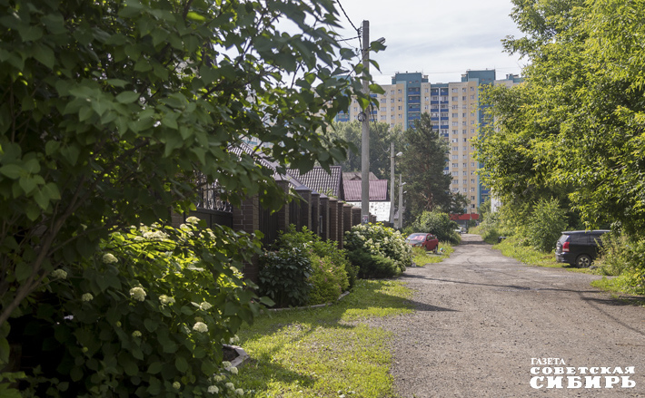 Фото: Андрей Заржецкий