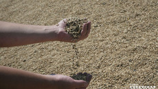 Фото: архив ИД «Советская Сибирь»