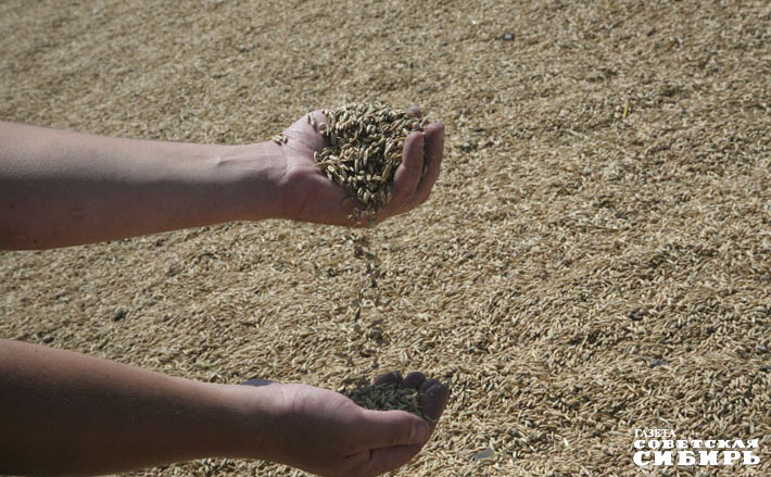 Фото: архив ИД «Советская Сибирь»
