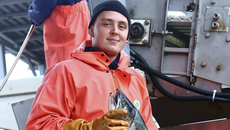 Бойцы студотрядов Новосибирска в этом году обрабатывали рыбу, помогали сельхозпроизводителям, а также участвовали в Международных трудовых проектах «АЭС «Аккую» (Турецкая Республика) и «ДЮНА» АЭС Эль-Дабаа (Египет), работали на всероссийских студенческих стройках в Тюменской, Иркутской, Ленинградской, Челябинской областях и Республике Татарстан. Также строили СКИФ в Новосибирской области. Фото предоставлены Новосибирским региональным штабом студенческих отрядов