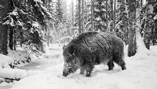 Изображение сгенерировано нейросетью Gemini-3-pro (nano-banana-pro)