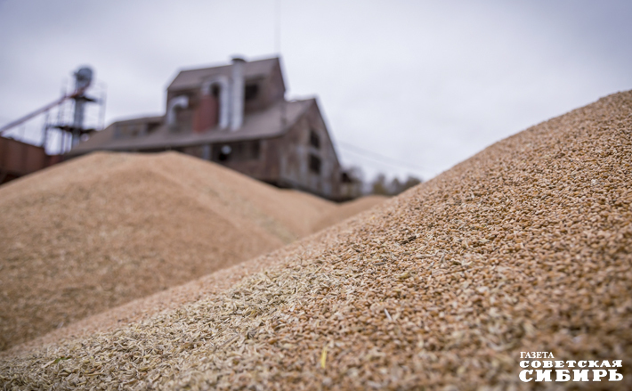 Фото: Андрей Заржецкий