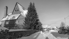 Фото: Андрей Заржецкий