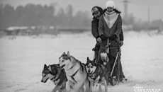 Фото: Андрей Заржецкий