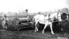 Фото: Борис Шумаков, архив ИД «Советская Сибирь»