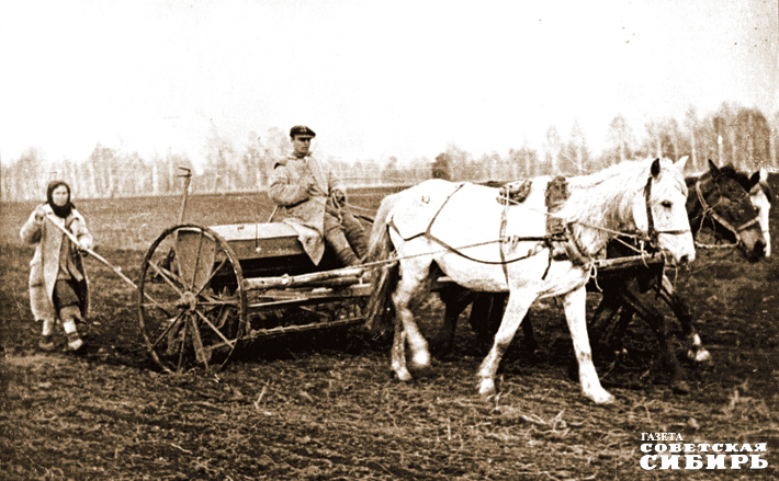 Фото: Борис Шумаков, архив ИД «Советская Сибирь»