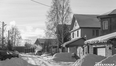 Фото: Андрей Заржецкий