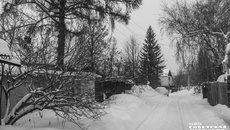 Фото: Андрей Заржецкий