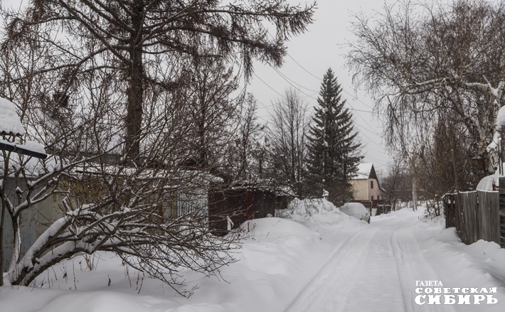 Фото: Андрей Заржецкий