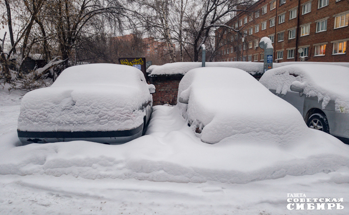 Фото: Андрей Заржецкий