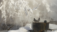 Фото: Андрей Заржецкий