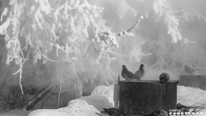 Фото: Андрей Заржецкий