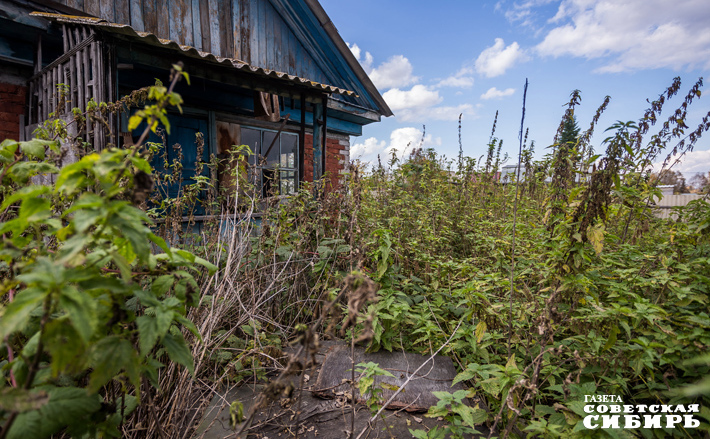 Фото: Андрей Заржецкий
