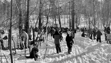 Фото с сайта ddtl.nios.ru