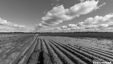 Фото: Андрей Заржецкий