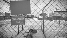 Фото: Андрей Заржецкий