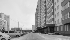 Фото: Андрей Заржецкий