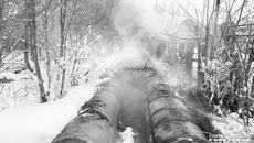 Фото: архив ИД «Советская Сибирь»