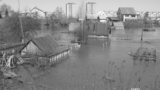 Фото: архив ИД «Советская Сибирь»