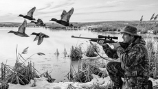 В Новосибирской области зарегистрировано более 140 тысяч единиц гражданского оружия, владельцами которого являются почти 70 тысяч человек. Такие данные приводит региональное управление Росгвардии. Однако жители региона все чаще отказываются от продления лицензий, что связано со снижением интереса к охоте и ростом связанных с этим расходов. Изображение сгенерировано нейросетью Qwen3,5-Plus