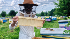 Пчелы очень чистоплотные, не любят резких звуков и неприятных запахов. И Сергей Якубович знает, как с ними обращаться. Фото: Марина Якубович