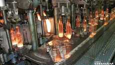 Фото: архив ИД «Советская Сибирь»