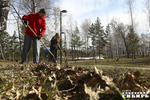 Трудовые отряды школьников и студентов присоединились к всероссийскому субботнику.  Фото: Алина Кухмарь