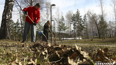 Трудовые отряды школьников и студентов присоединились к всероссийскому субботнику.  Фото: Алина Кухмарь