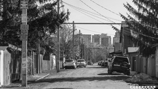 Фото: Андрей Заржецкий