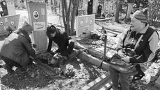Волонтеры энергично собирают сухие ветки деревьев, чистят дорожки, помогают пожилым родственникам привести в порядок семейные захоронения. Не у всех есть дети, внуки. Кто-то живет не в Новосибирске. А могилы важно поддерживать в ухоженном состоянии. Фото: Светлана Фролова