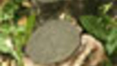 104-12.jpg