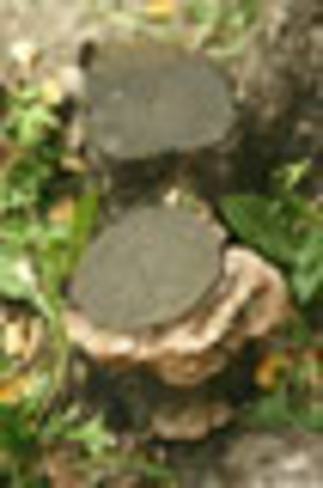 104-12.jpg