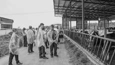 Ученики аграрного класса маслянинской школы имени Лановенчика на экскурсии на предприятии «Эконива — АПК Холдинг». Фото: Анастасия Каширских