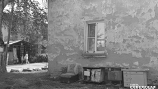 Одноподъездные двухэтажки на восемь квартир образовали своего рода музей под открытым небом. Проулки разделяют ряды углярок. Время здесь, кажется, остановилось. Вы давно видели ковры, расстеленные прямо на улице во дворах? А тарзанку на дереве рядом с домом? Вот старушка копается в палисаднике. Вдоль уличных стен притулились старые комоды и консоли. Это не предметы на выброс. Как и видавшее виды кресло под окошком — им явно пользуются. На веревках сушатся вещи. Фото: Юлия Назаренко