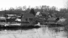 Фото: архив ИД «Советская Сибирь»